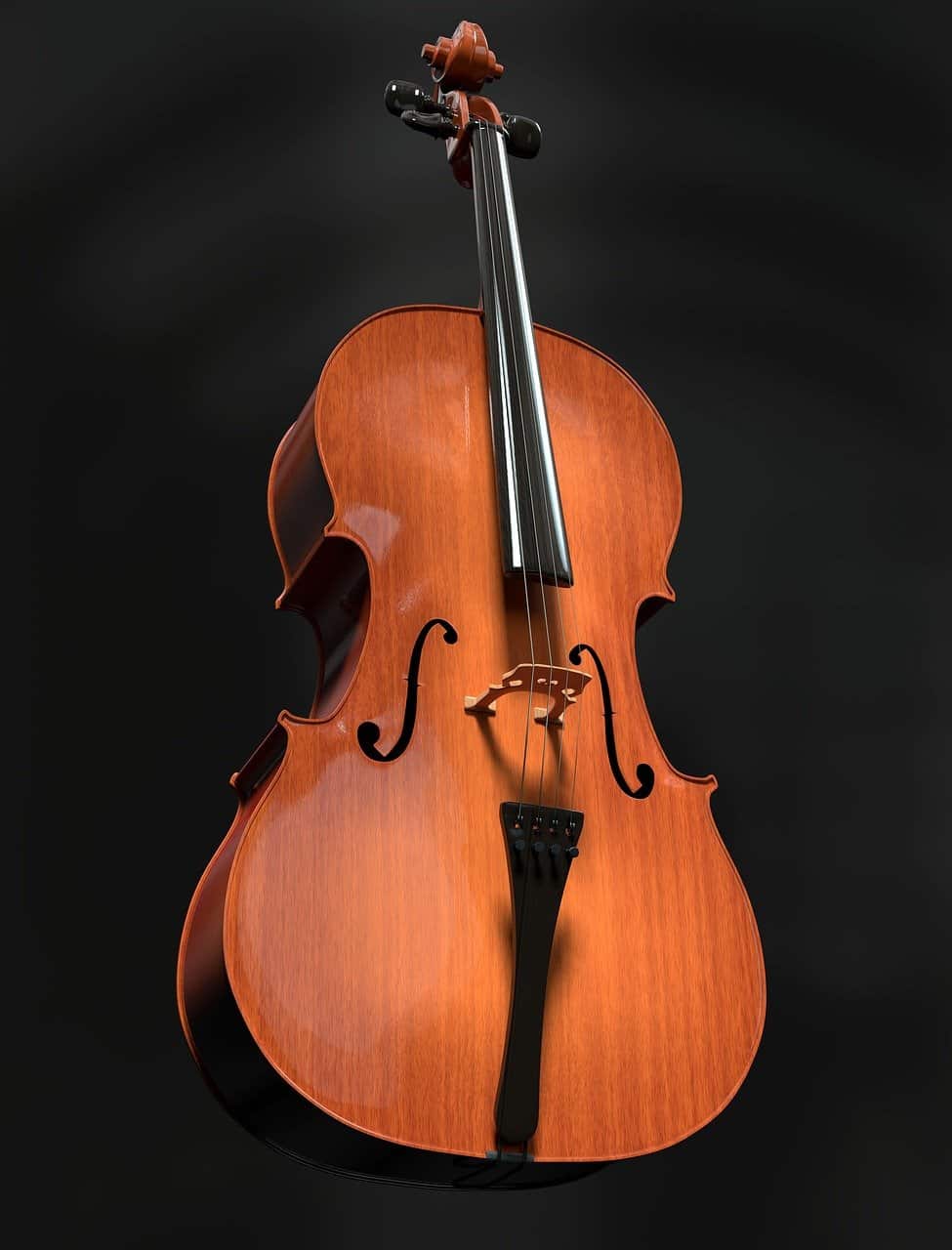 cello-2830670_1280